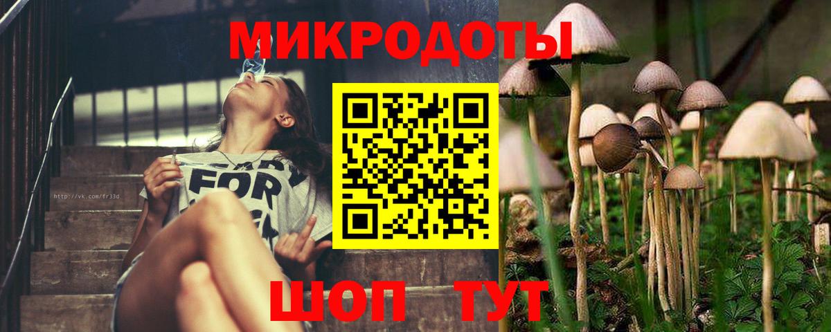Галлюциногенные грибы GOLDEN TEACHER  Вход с VPN  Касимов  закладка  Галлюциногенные грибы ЛСД 